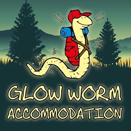 Glow Worm Accommodation Franz Josef Luaran gambar